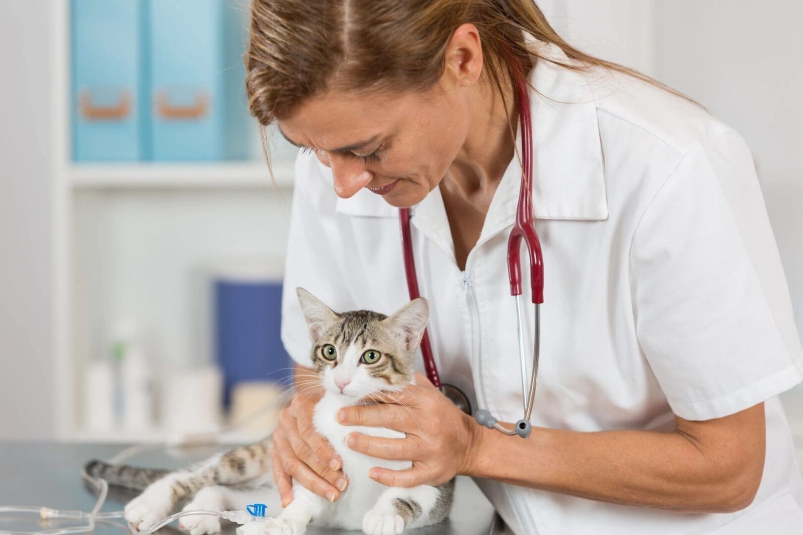 Lady doctor holding a cat